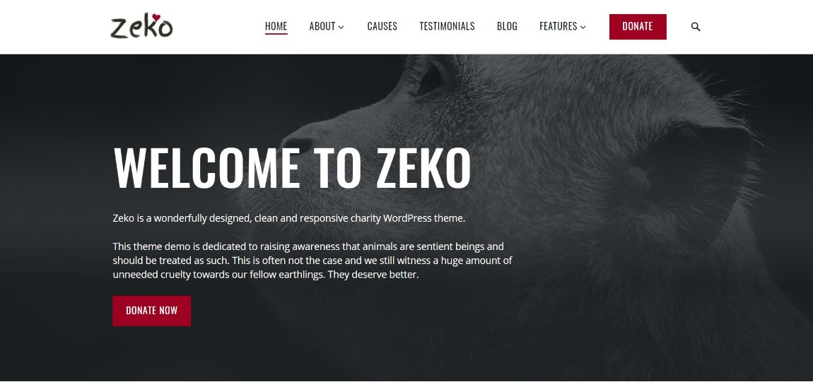 24 Best WordPress Themes for Nonprofits and Charities Zeko wordpress theme