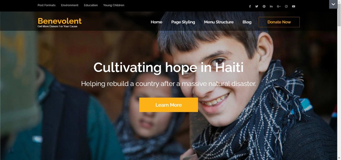 24 Best WordPress Themes for Nonprofits and Charities benevolent wordpress demo site