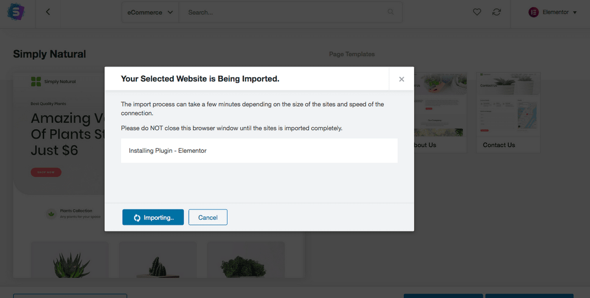 How To Create a Single Product Website: Step by Step With WooCommerce importing in process
