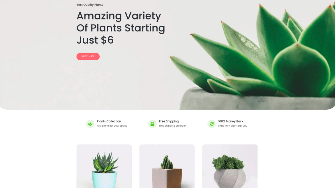 How To Create a Single Product Website: Step by Step With WooCommerce simply natural astra theme