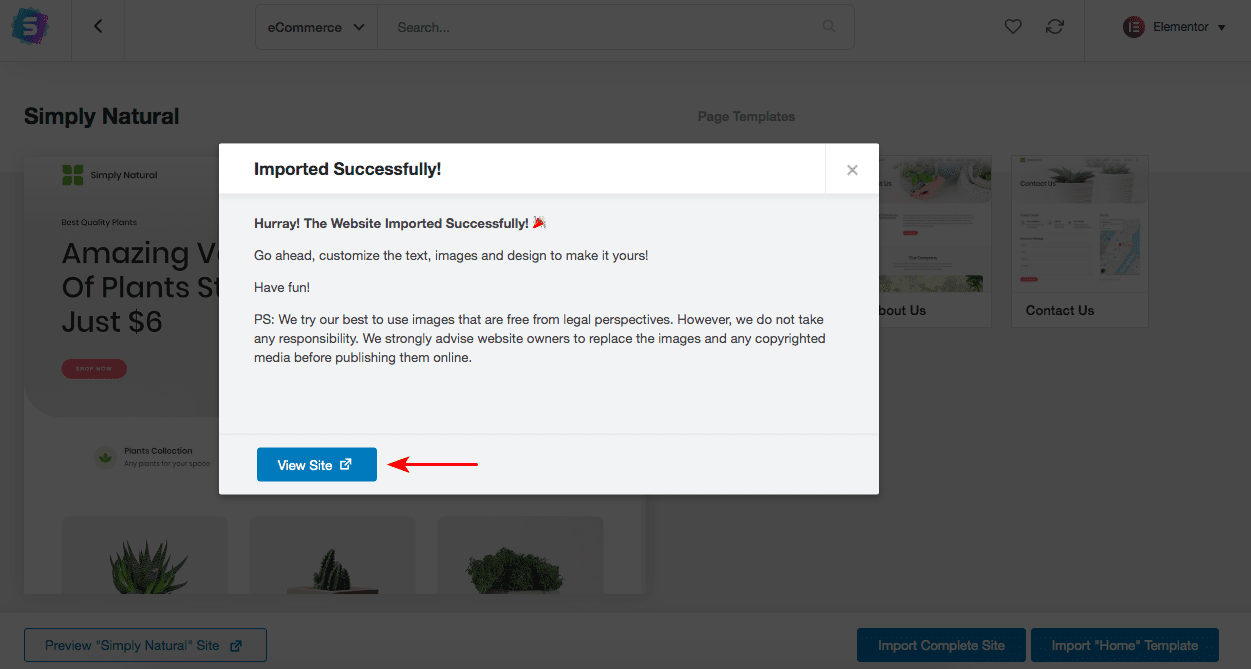 How To Create a Single Product Website: Step by Step With WooCommerce template import successfull message
