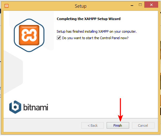 How To Install WordPress on Xampp – Local Installations Made Easy xampp setup 10