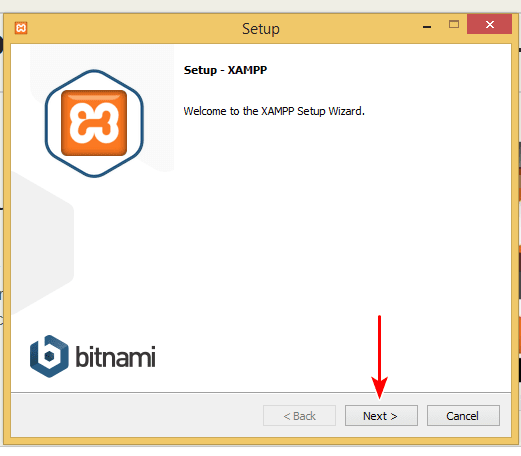 How To Install WordPress on Xampp – Local Installations Made Easy xampp setup 2