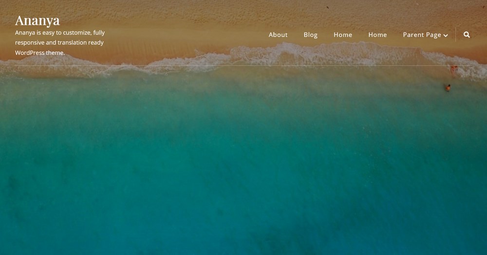 26 Best WordPress Video Themes: For Vlogs, YouTubers and Videographers Ananya demo site