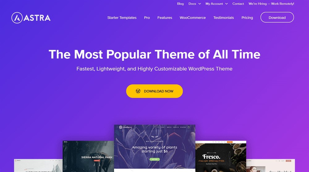 26 Best WordPress Video Themes: For Vlogs, YouTubers and Videographers Astra Homepage