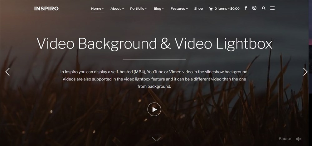 26 Best WordPress Video Themes: For Vlogs, YouTubers and Videographers Inspiro Portfolio & Photography WordPress Theme demo