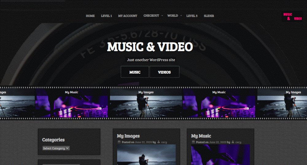 26 Best WordPress Video Themes: For Vlogs, YouTubers and Videographers Music and video Wordpress theme