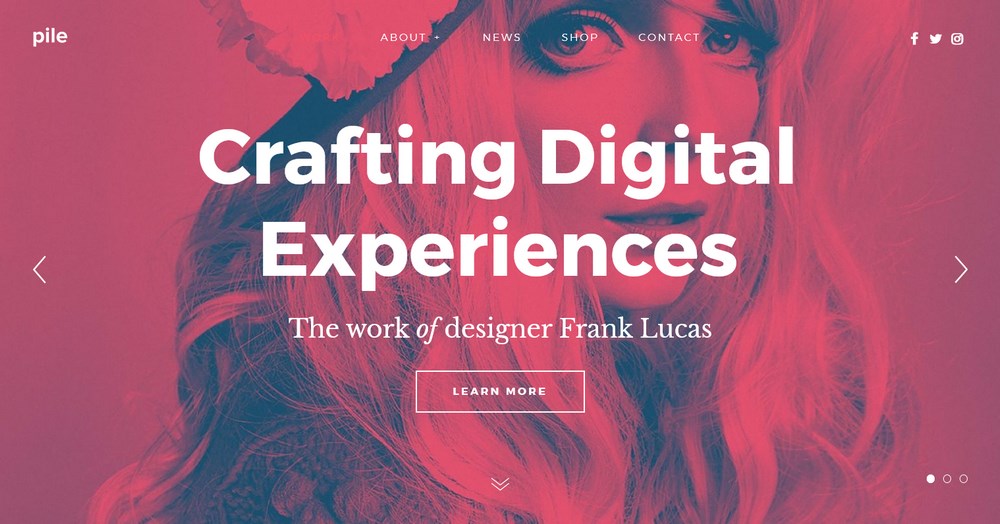 26 Best WordPress Video Themes: For Vlogs, YouTubers and Videographers Pile demo site