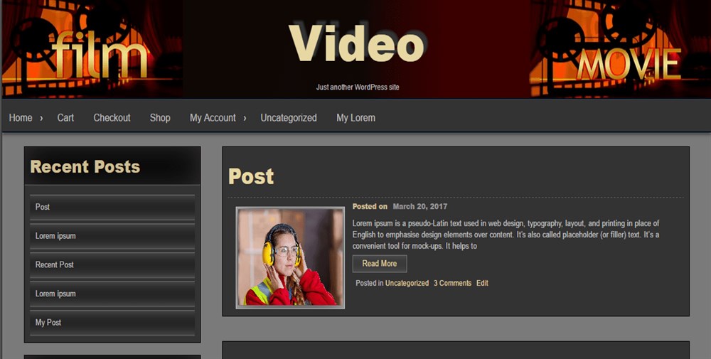26 Best WordPress Video Themes: For Vlogs, YouTubers and Videographers Seos video theme