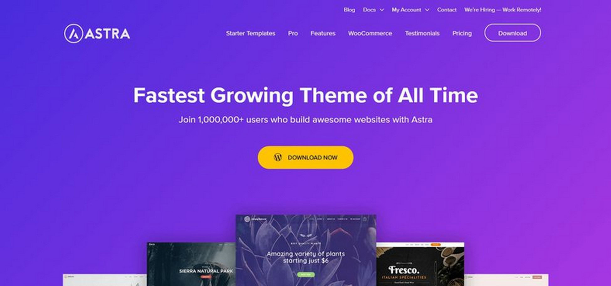 WooCommerce SEO Made Easy: Your Complete Guide to Search Astra theme site image