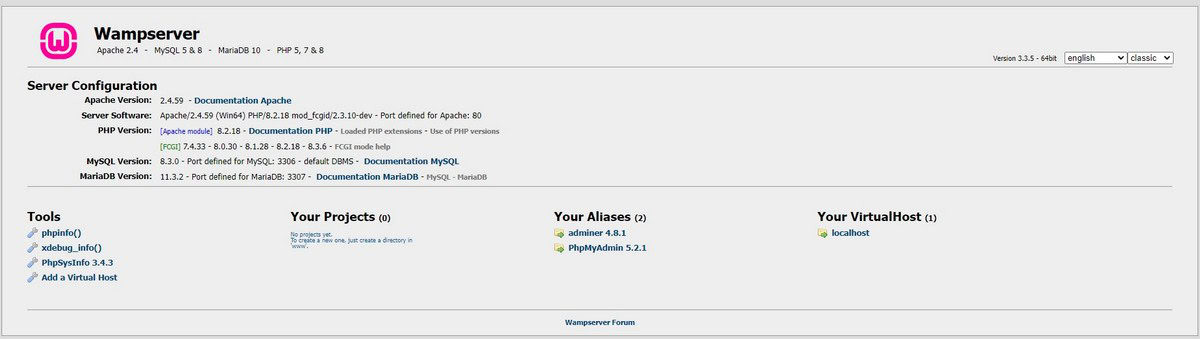 How To Install WordPress Locally Using WampServer WAMP localhost