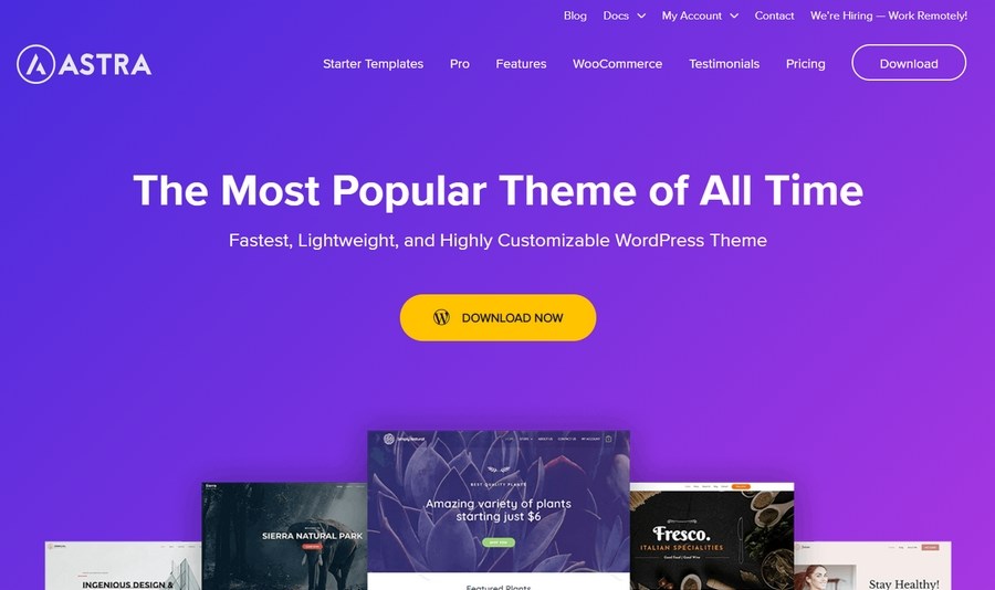 32 Best Adsense Friendly WordPress Themes (Free and Premium Options) WP Astra homepage