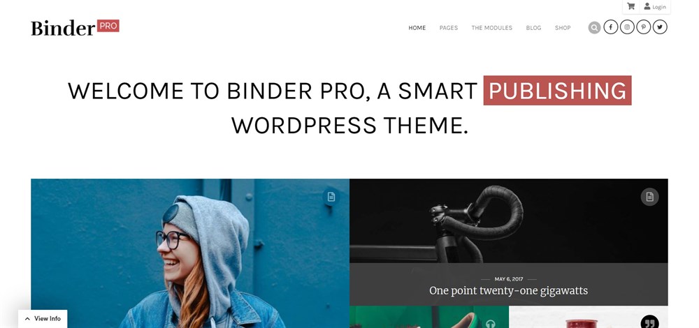 37 of the Best WordPress Themes for Artists - Free and Paid Options Binder PRO demo site