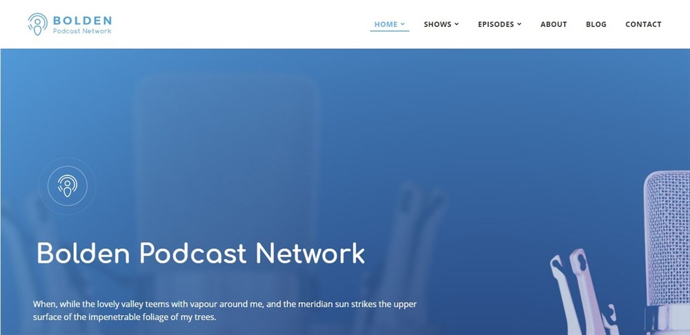 28 Best WordPress Premium Themes: Does Cost Equal Quality? Bolden demo site homepage