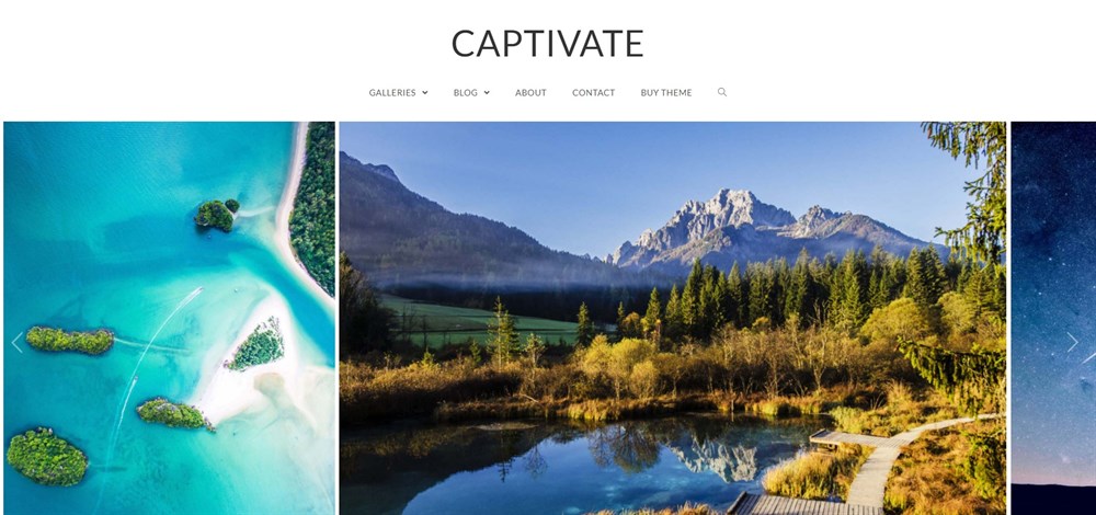 37 of the Best WordPress Themes for Artists - Free and Paid Options Captivate wordpress theme