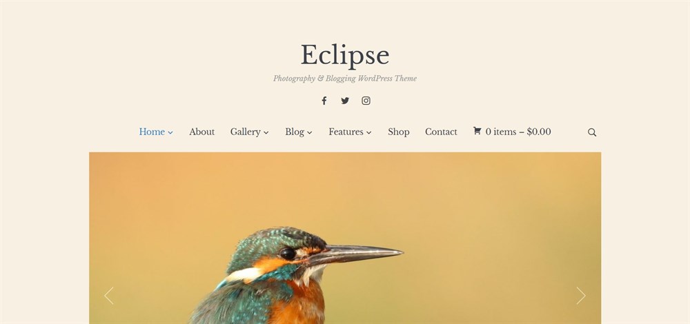 37 of the Best WordPress Themes for Artists - Free and Paid Options Eclipse Photography & Blogging WordPress Theme
