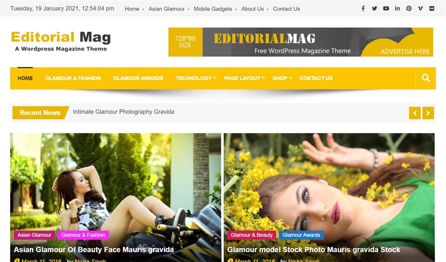 32 Best Adsense Friendly WordPress Themes (Free and Premium Options) EditorialMag A WordPress Magazine Themes demo