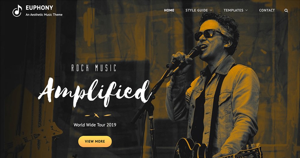 37 of the Best WordPress Themes for Artists - Free and Paid Options Euphony WordPress theme