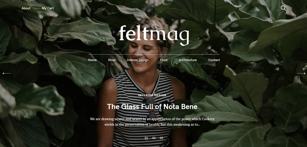 37 of the Best WordPress Themes for Artists - Free and Paid Options Felt Magazine theme demo
