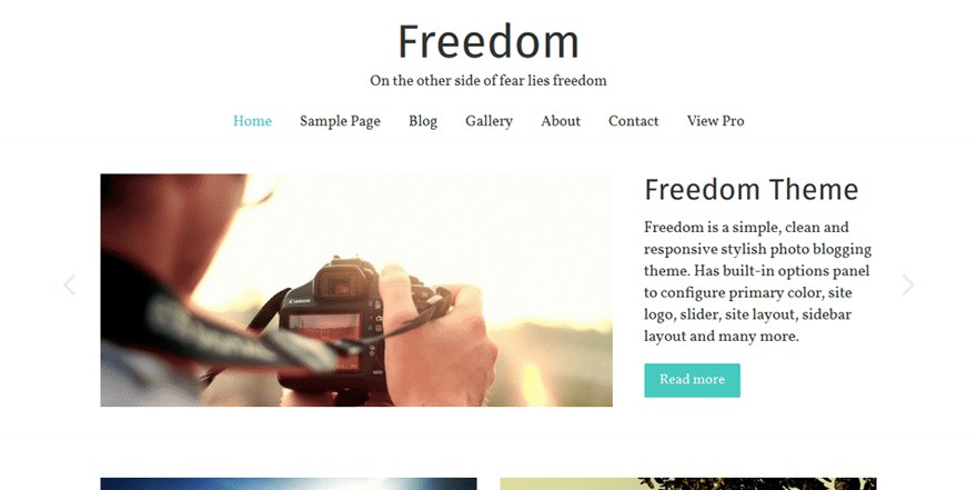 37 of the Best WordPress Themes for Artists - Free and Paid Options Freedom wordpress theme demo
