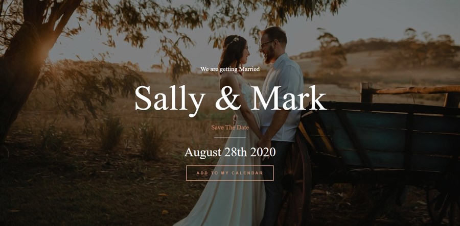 50+ Stunning WordPress Gutenberg Templates (Free + Premium) Gutenberg Wedding Invitation website demo
