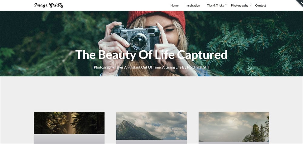 35 Best WordPress Photography Themes for Photographers (Most Are Free) ImageGridly WordPress Theme Demo