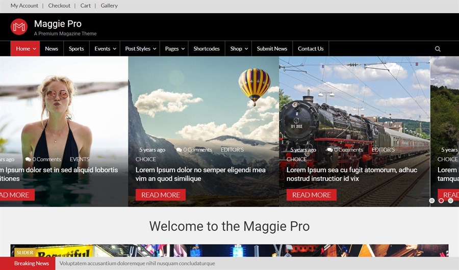 32 Best Adsense Friendly WordPress Themes (Free and Premium Options) Maggie Pro Magazine Theme demo