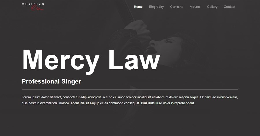 50+ Stunning WordPress Gutenberg Templates (Free + Premium) Musician website demo site