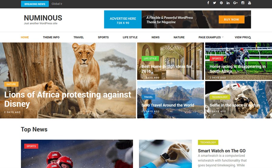 32 Best Adsense Friendly WordPress Themes (Free and Premium Options) Numinous wordpress theme