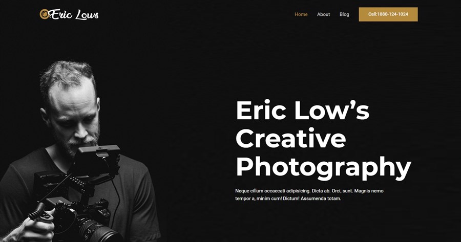 50+ Stunning WordPress Gutenberg Templates (Free + Premium) Photographer gutenberg website template
