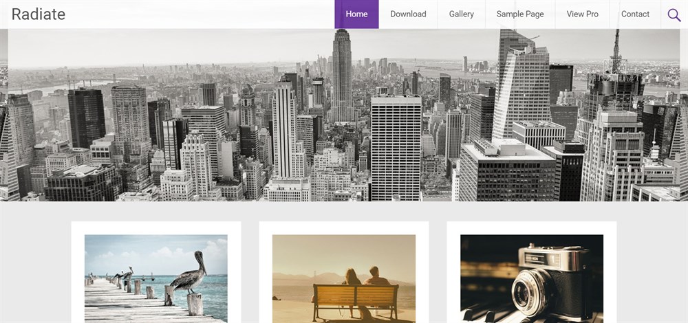 37 of the Best WordPress Themes for Artists - Free and Paid Options Radiate WordPress theme