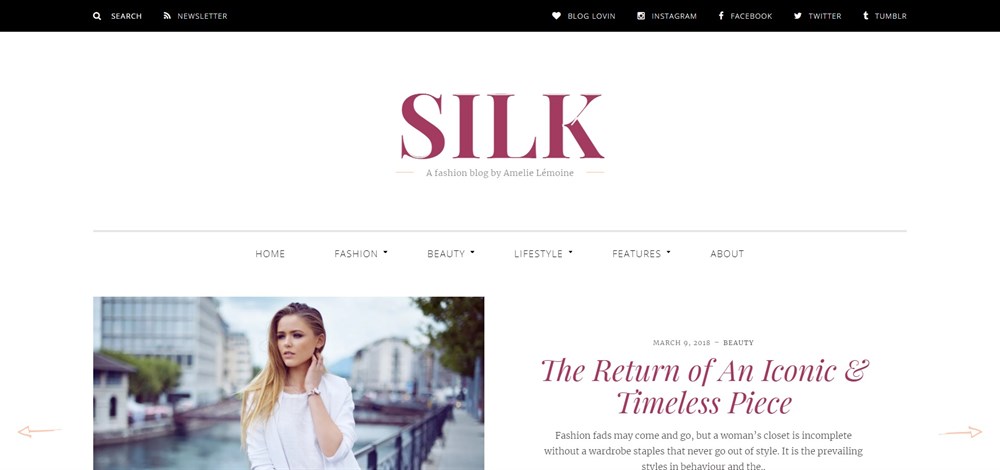 31 Best WordPress Themes for Affiliate Marketing (Free and Paid Options) Silk A fashion blog theme demo