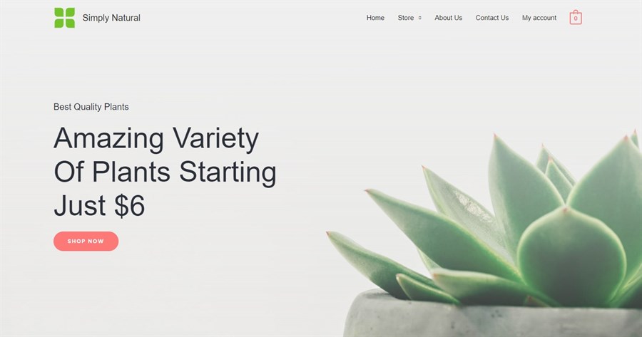 50+ Stunning WordPress Gutenberg Templates (Free + Premium) Simply Natural demo site