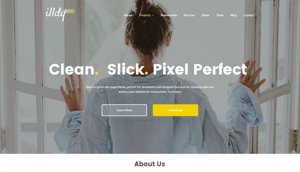 37 of the Best WordPress Themes for Artists - Free and Paid Options illdy wordpress demo site