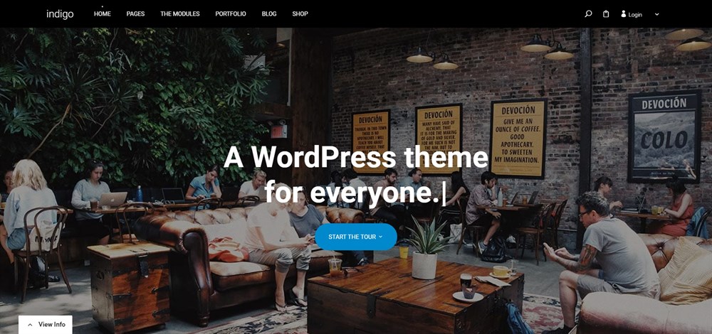 37 of the Best WordPress Themes for Artists - Free and Paid Options indigo Theme demo