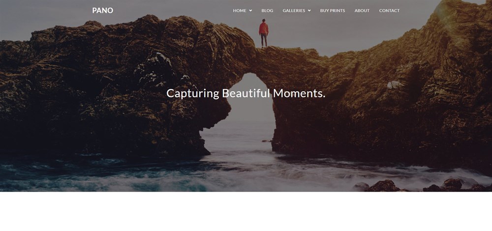 35 Best WordPress Photography Themes for Photographers (Most Are Free) pano photocrati theme