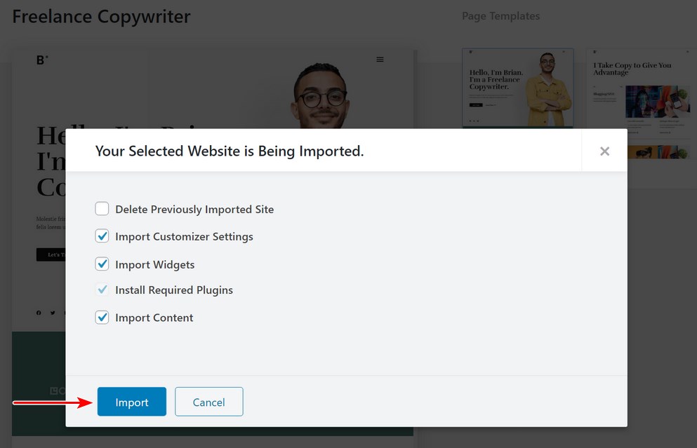 How To Create a Portfolio Website With WordPress – Complete Beginner’s Guide Astra template import settings