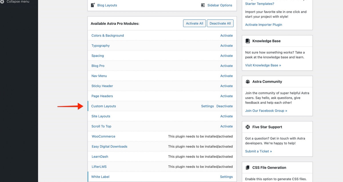Astra Pro 3.2 - Generate More Leads with Attractive Calls To Action Astra Pro Activate Custom Layouts Addon