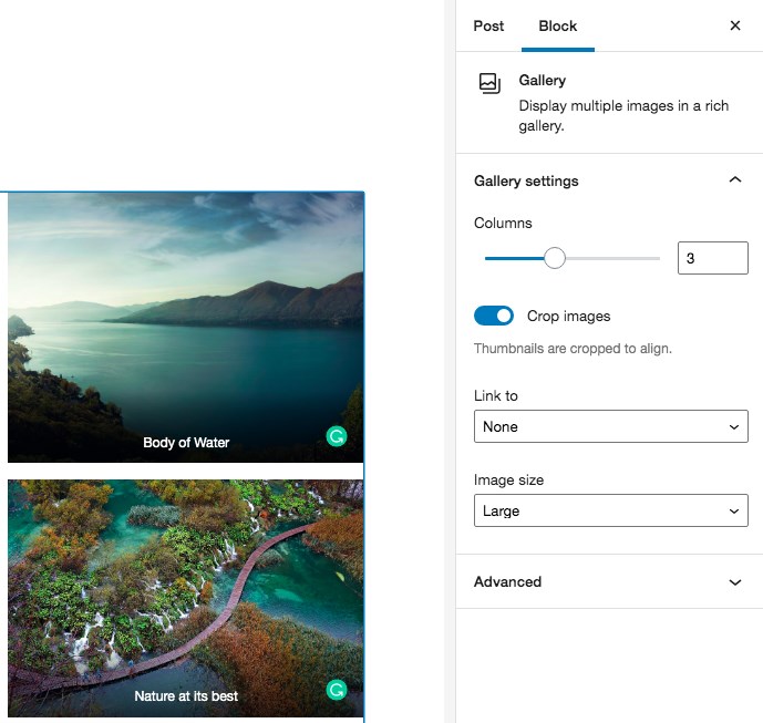 How To Add an Image Gallery in WordPress - Step by Step Guide Customize image gallery Gutenberg