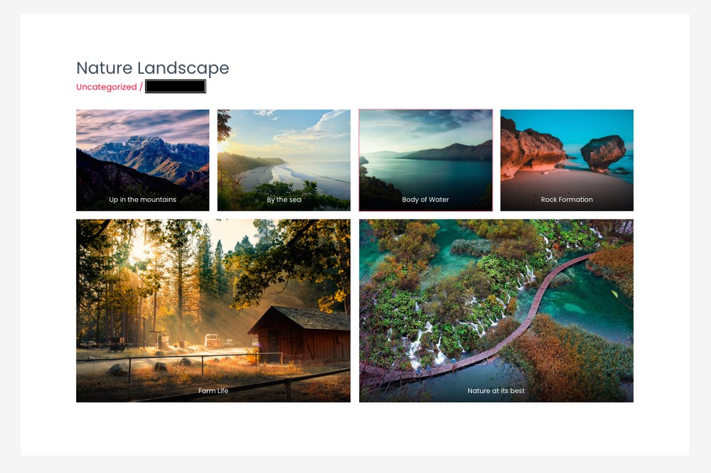 How To Add an Image Gallery in WordPress - Step by Step Guide Gutenberg gallery end results