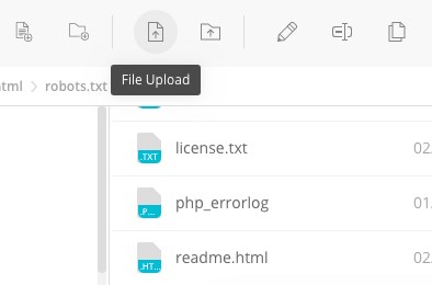 WordPress Robots.txt: Best Practices and Examples Upload file using FTP