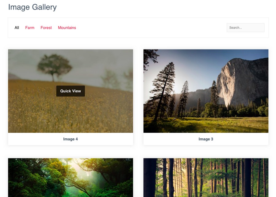 How To Add an Image Gallery in WordPress - Step by Step Guide WP Portfolio gallery end result