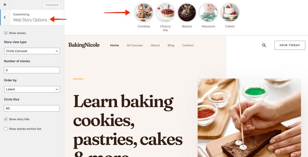 Web Stories: A Modern Format To Showcase Your Content! Web Stories options in Astra customizer