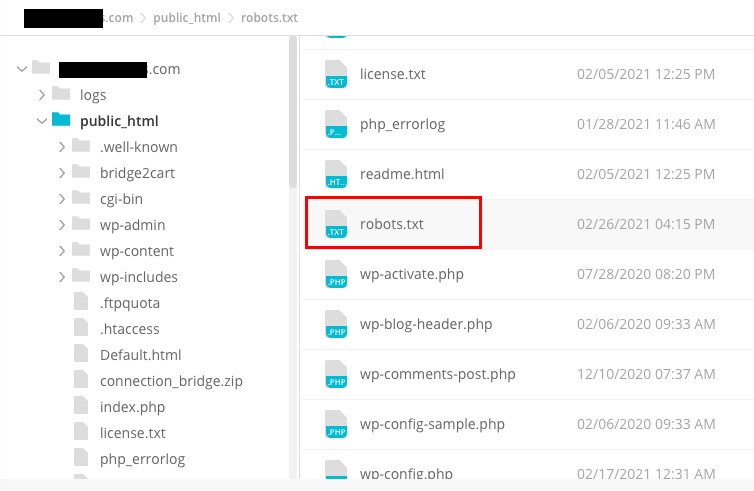 WordPress Robots.txt: Best Practices and Examples Website root folder