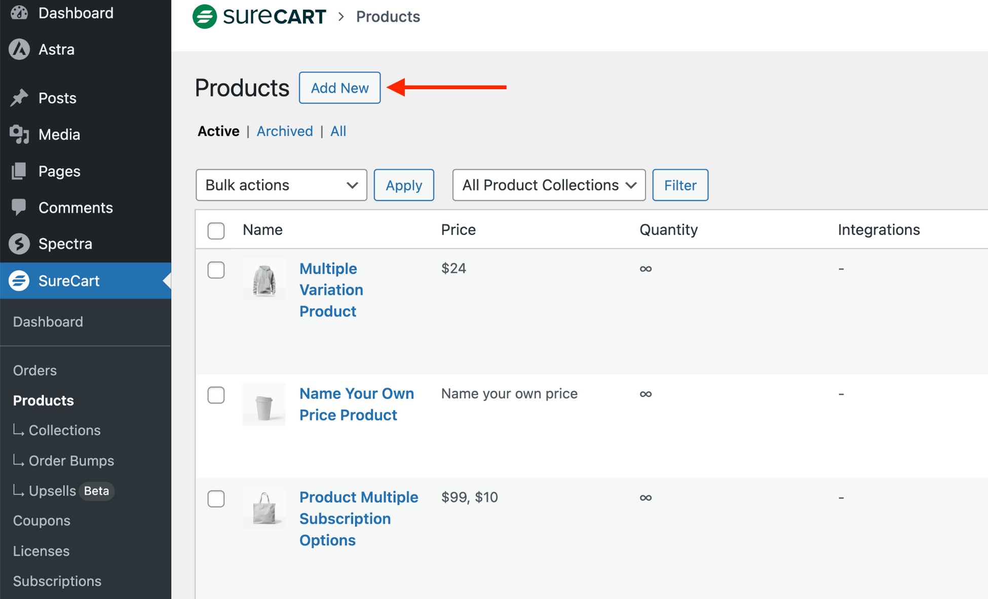 Create a Profitable Online Store in 7 Easy Steps With SureCart add new product with surecart