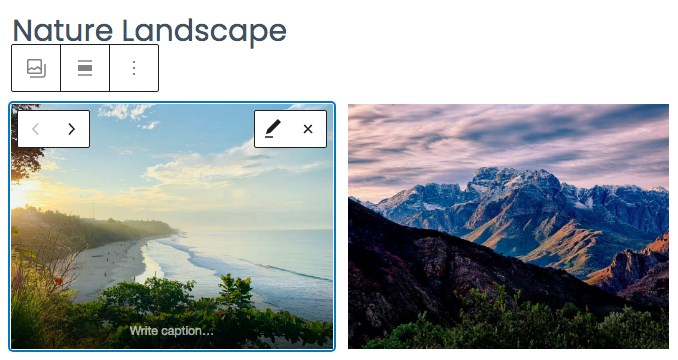 How To Add an Image Gallery in WordPress - Step by Step Guide caption for gallery images