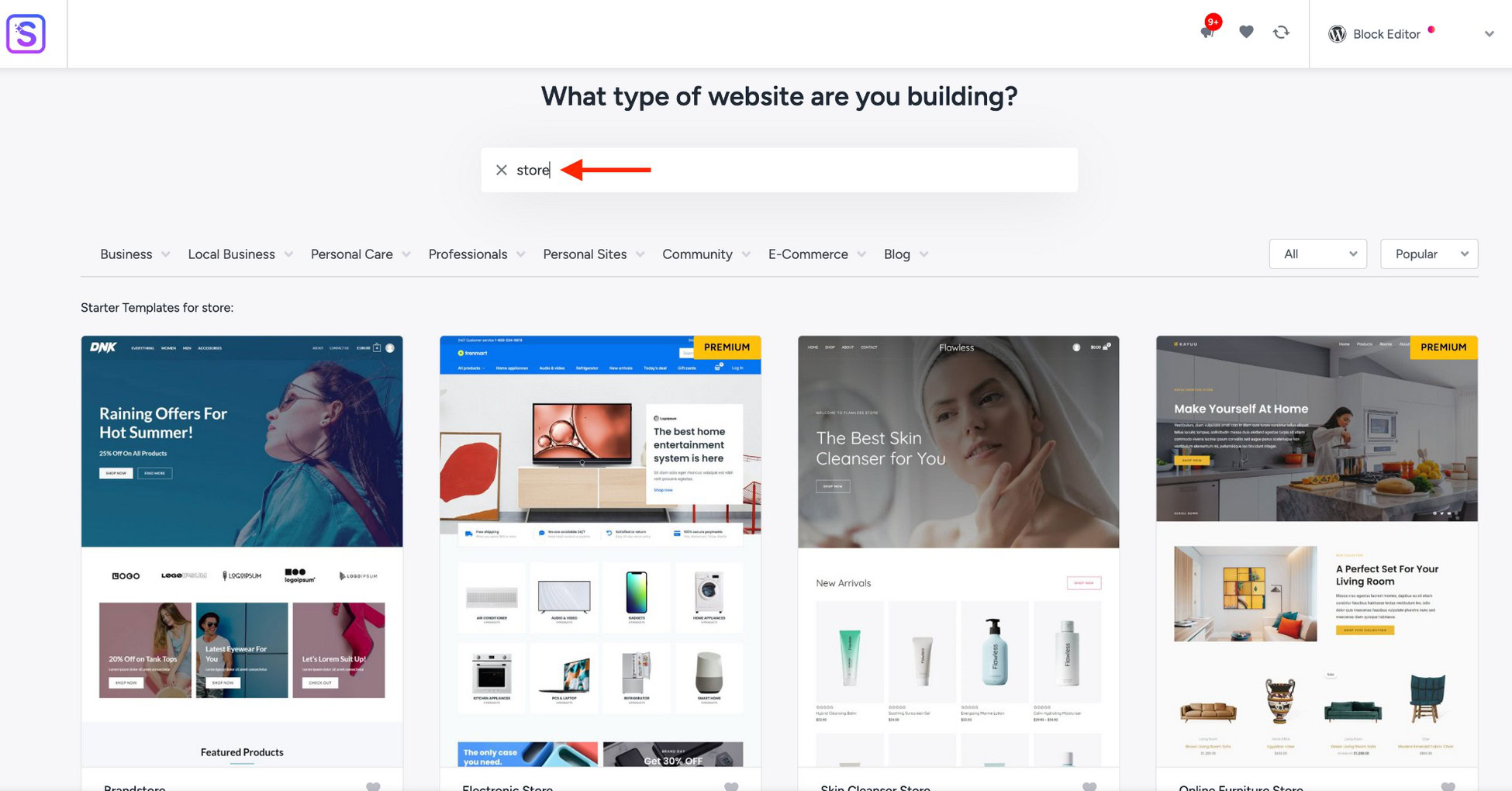 Hands-free Profit: Create a Dropshipping Store in 6 Steps ecommerce store search