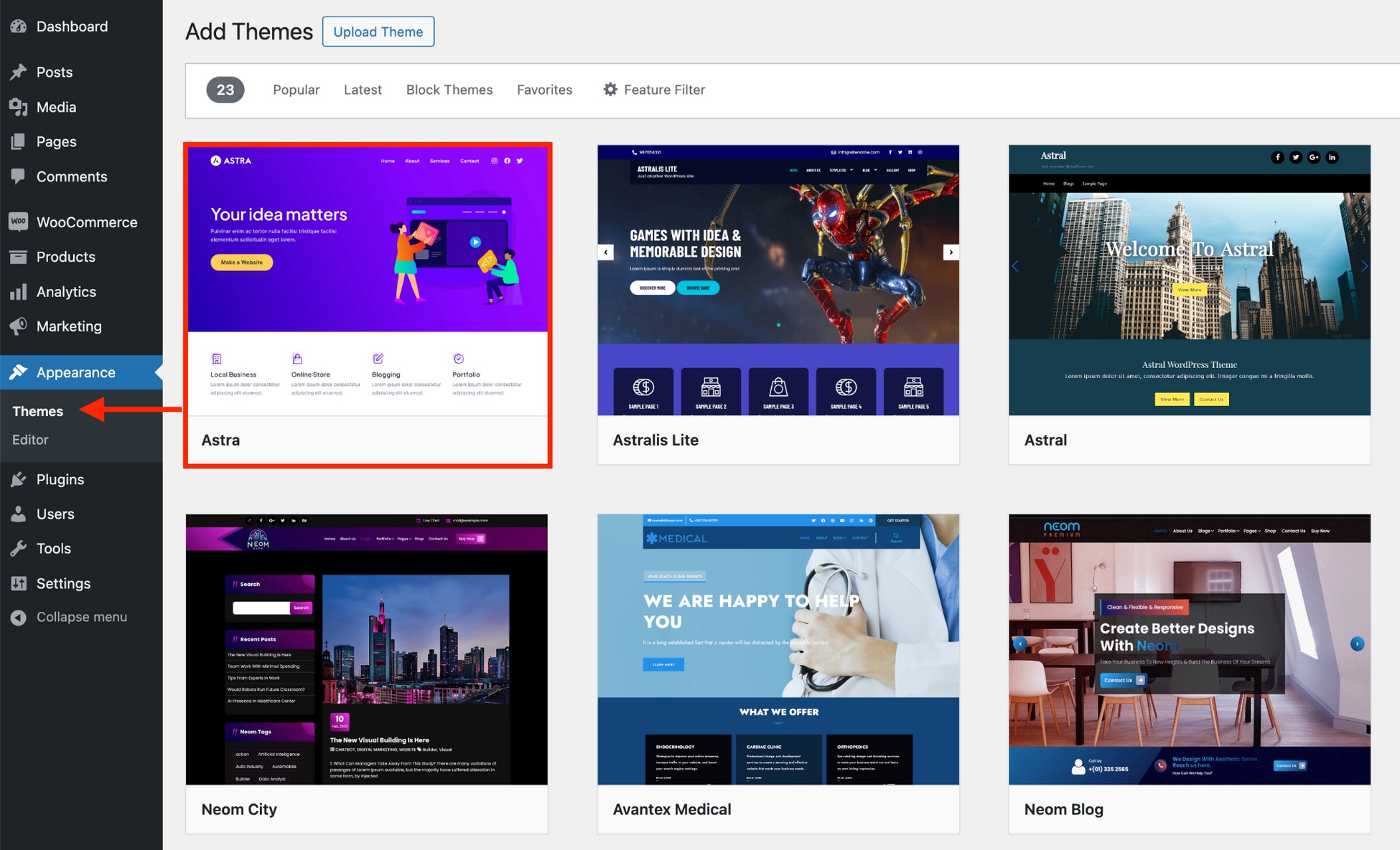 Hands-free Profit: Create a Dropshipping Store in 6 Steps search for astra theme