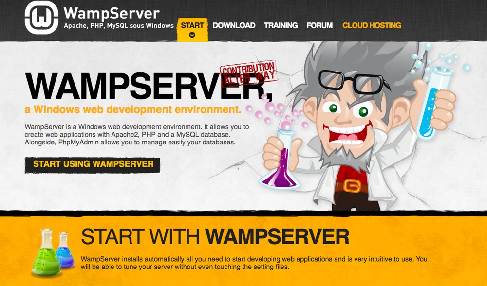 How To Install WordPress: Via cPanel, Manually or Locally Wamp Server homepage