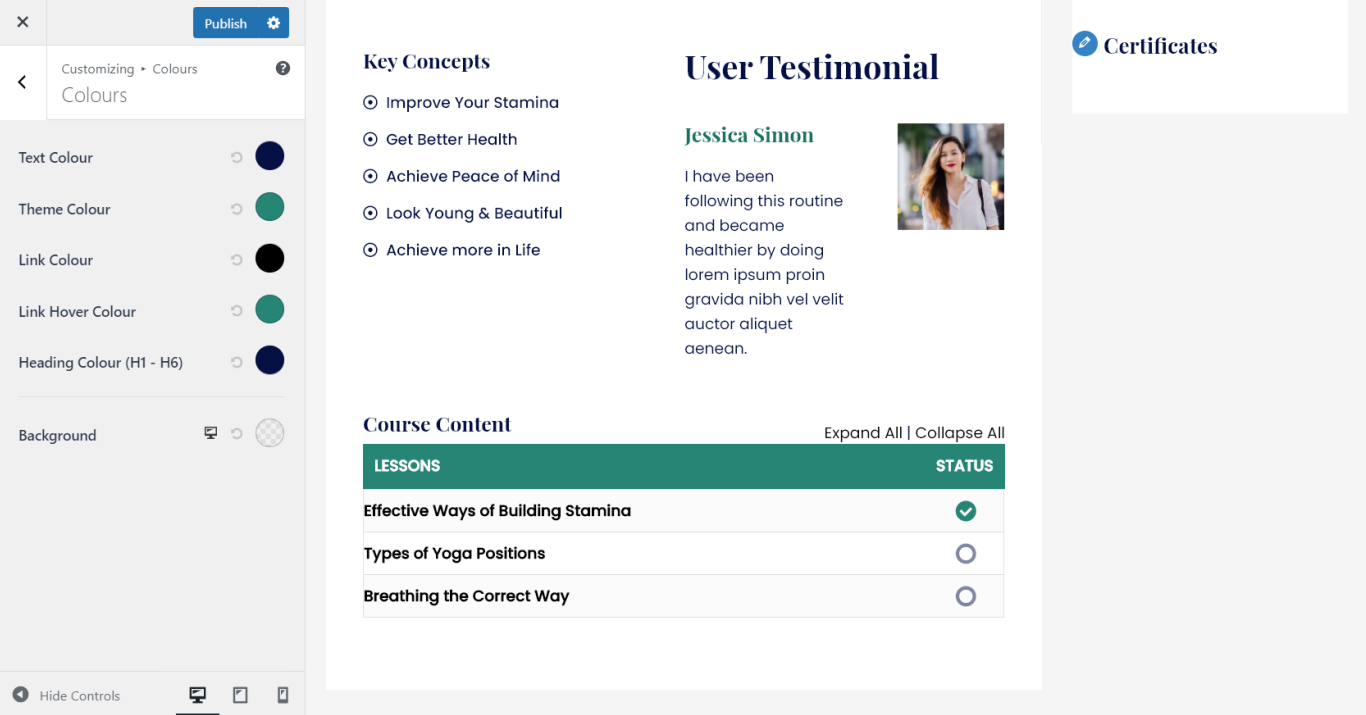 Overview of LearnDash Integration in Astra Theme Astra LearnDash Colors